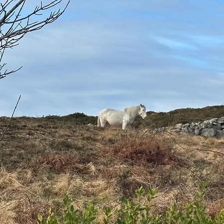 467 - Kilkerrin Ferienhaus Ardmore (Galway)